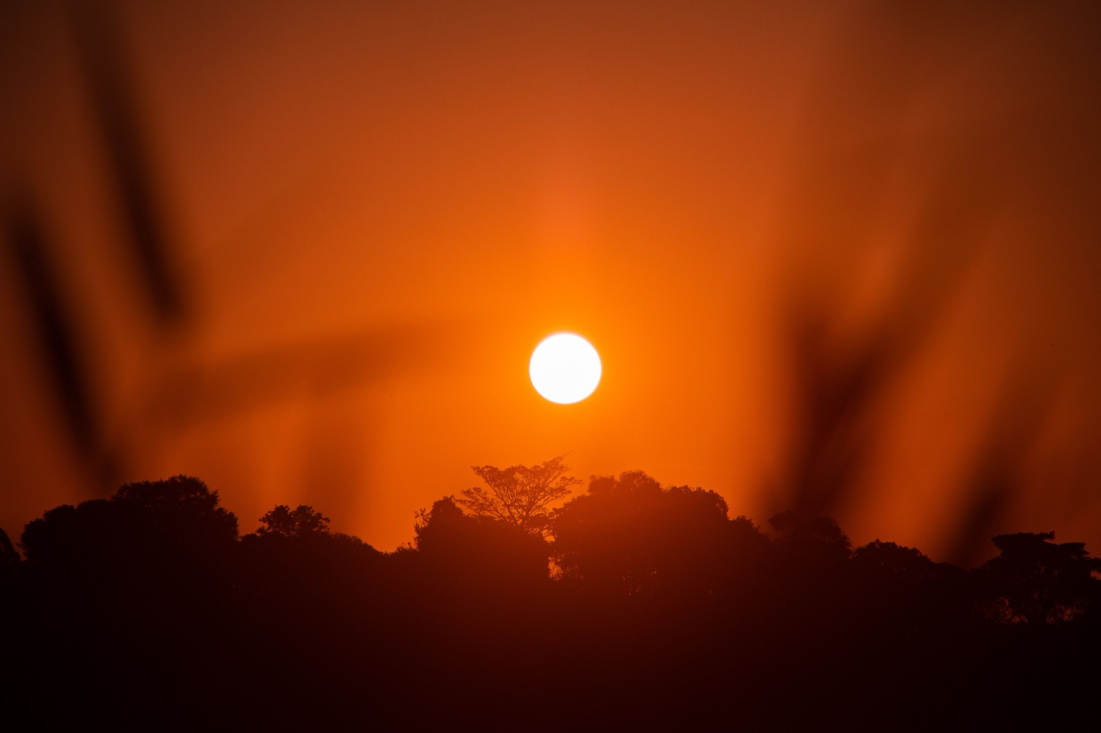 Causeway Coastal Route